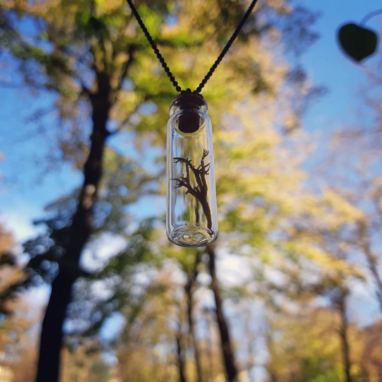 lichene sospeso - collana - R nel bosco