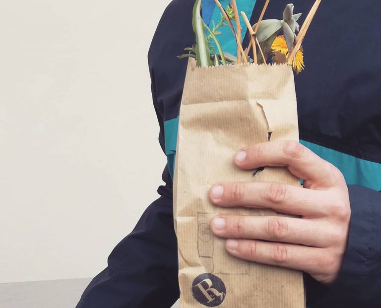 instagram R nel bosco - Reggio Emilia
