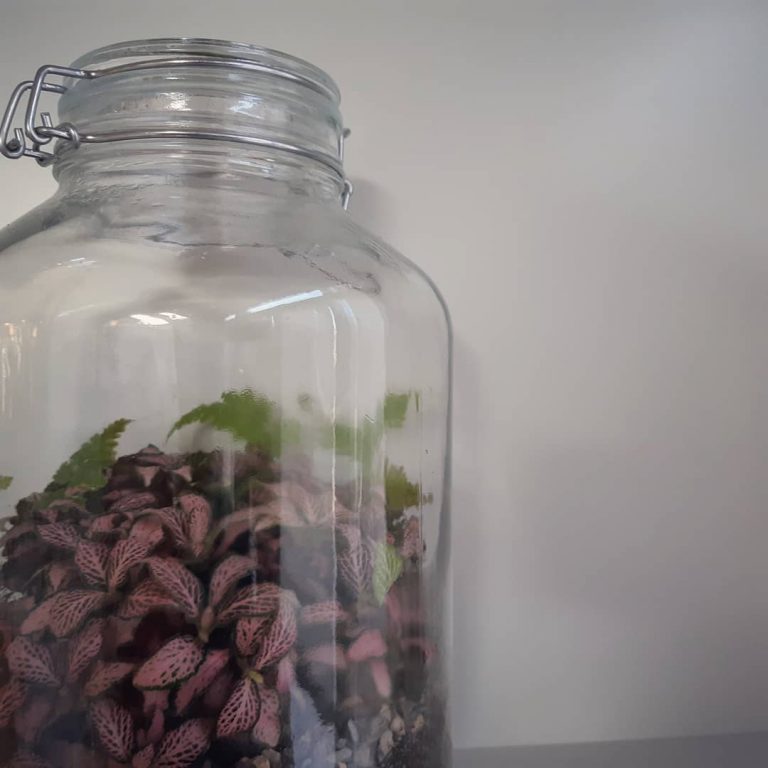 workshop realizzare un terrario - R nel bosco - Studio Loom