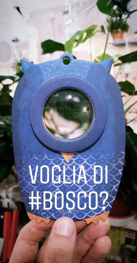 wishlist luglio 2019 - R nel bosco - Reggio Emilia - lenteingrandimento
