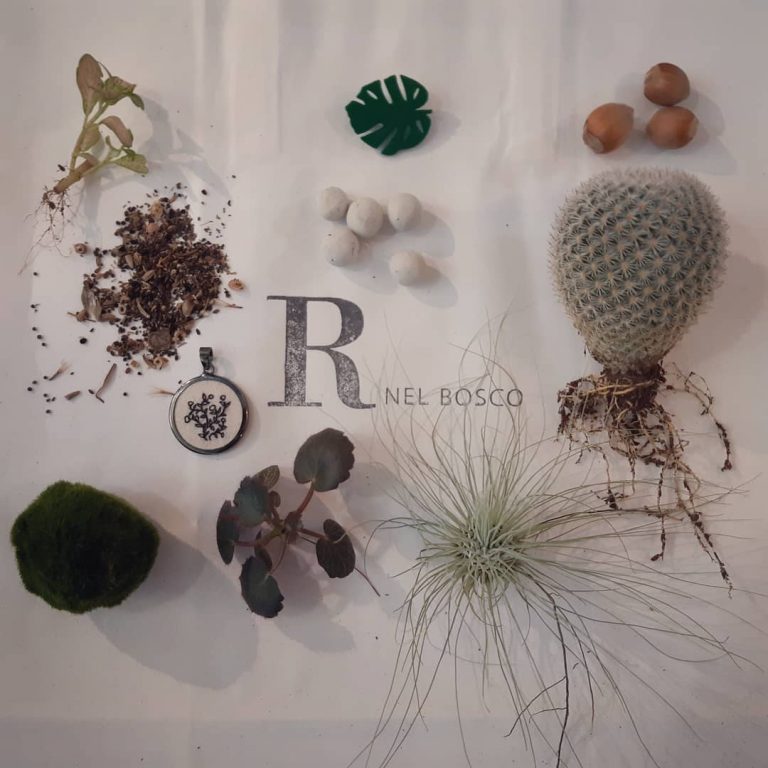solo cose vive - e in cresccita - R nel bosco - Reggio Emilia