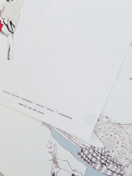 cartoline 10 birds - 10 uccelli illustrati - R nel bosco