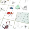 cartoline 10 scribbly insects - 10 insetti illustrati - R nel bosco