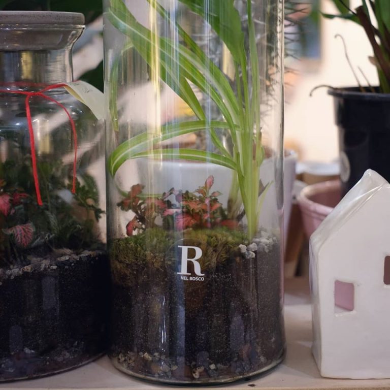 piccoli progetti - progettazione del verde - giardini e terrari - R nel bosco
