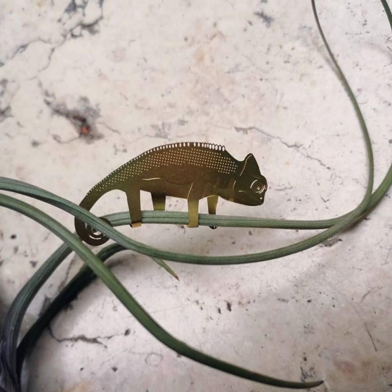 presenze insolite - plant animals - decorazioni - R nel bosco