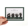 segnalibri piante d'appartamento - bookmarks house plant - R nel bosco