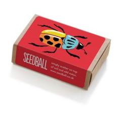 seedball - R nel bosco - coleotteri