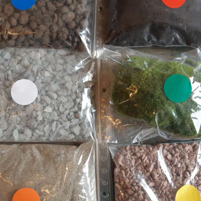 tocca a voi - kit crea il tuo terrario - R nel bosco