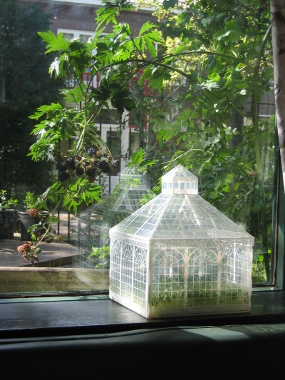 mini greenhouse - mini serre - talee, piante e semine indoor - R nel bosco - citrus 2