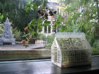 mini greenhouse - mini serre - talee, piante e semine indoor - R nel bosco - phoenix 2