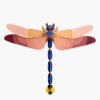 insetti cartacei giganti - 3d object - R nel bosco - Giant Dragonfly