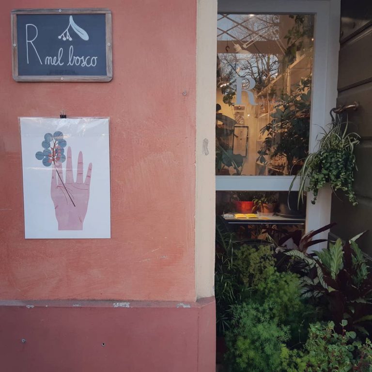 zona verde - piazza fontanesi - reggio emilia - R nel bosco