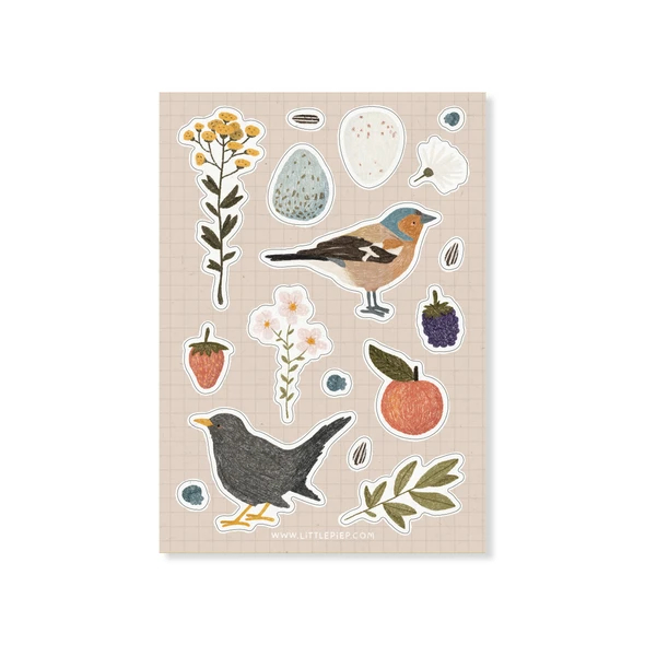 stickers garden - adesivi da giardino - attacca la natura - R nel bosco - birds