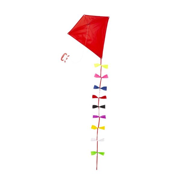 aquilone rosso - huckleberry red kite - R nel bosco
