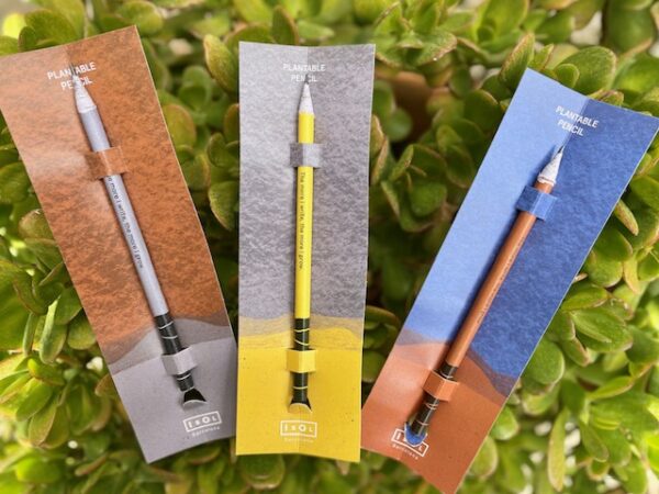 matita seminabile - tempera e pianta - disegnare e seminare - R nel bosco