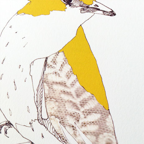 stampa artistica - artprint A4 - uccelli - rigogolo - R nel bosco