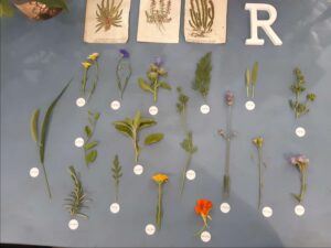 workshop 2023 - febbraio e marzo - Reggio Emilia - R nel bosco